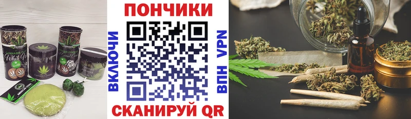 Canna-Cookies конопля  Купить  Пыть-Ях 
