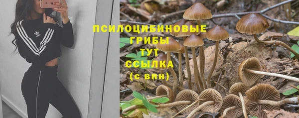 герыч Пестово