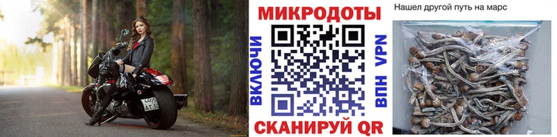 Купить закладки  Пыть-Ях  Псилоцибиновые грибы прущие грибы 